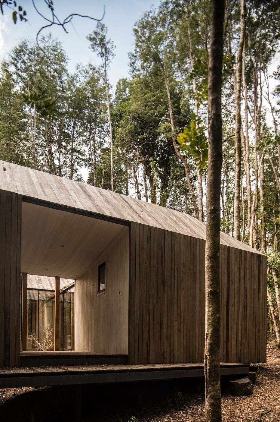 Refugio Impluvium, Huilo Huilo, con madera termotratada Topwood