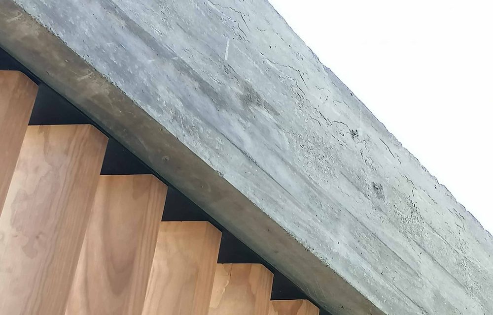 Casa Nemesio, Cachagua con TW-03B en pino termotratado