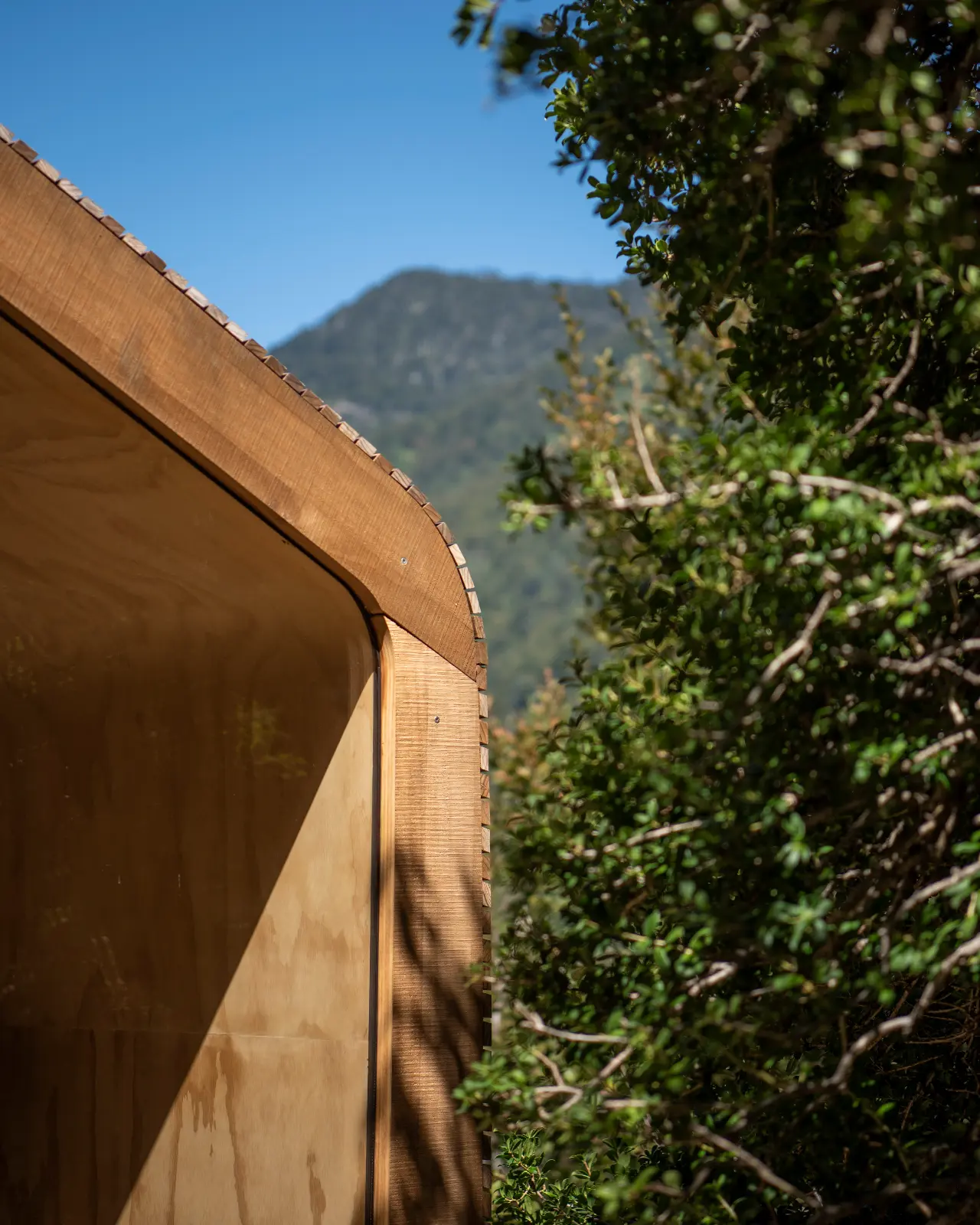Detalle del borde curvo de la Wikkelhouse en Cañón del Blanco