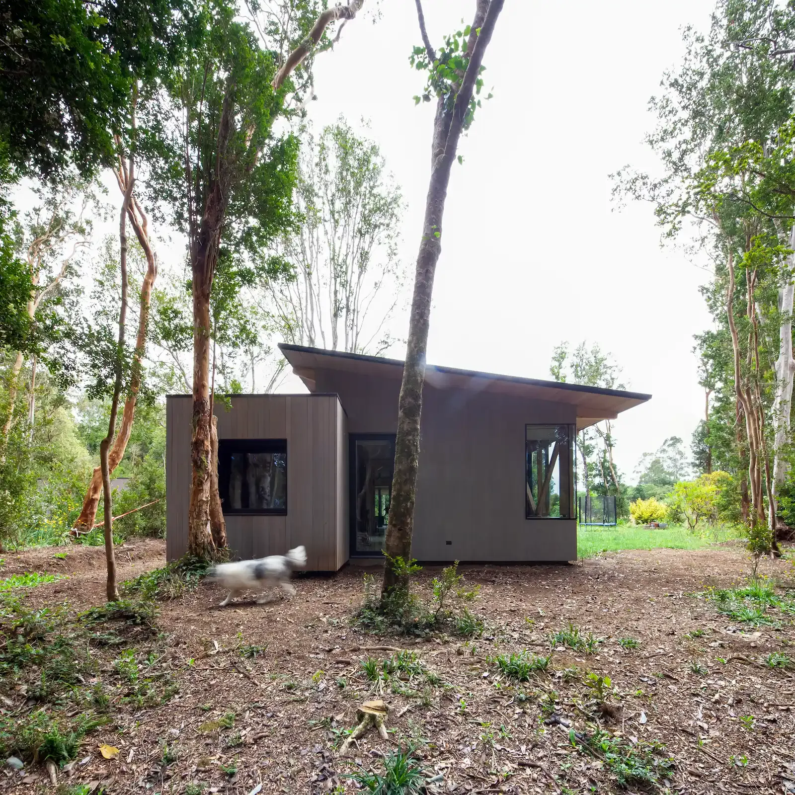 Casa El Arboreto rodeada de bosque en Puerto Varas