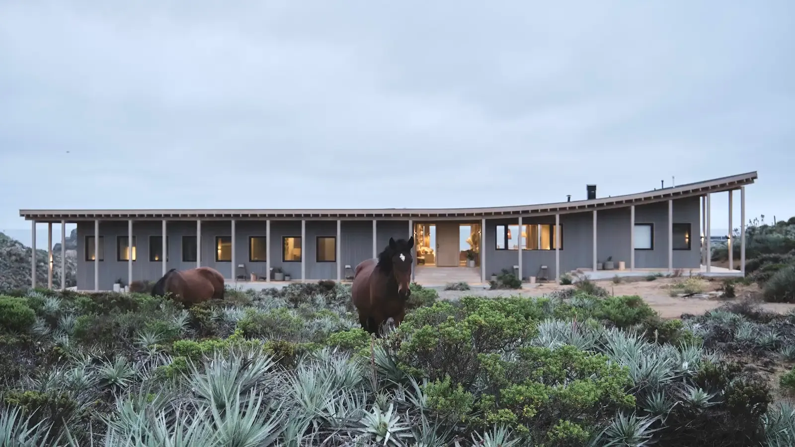 Casa EP en Punta Hueso rodeada de vegetación costera