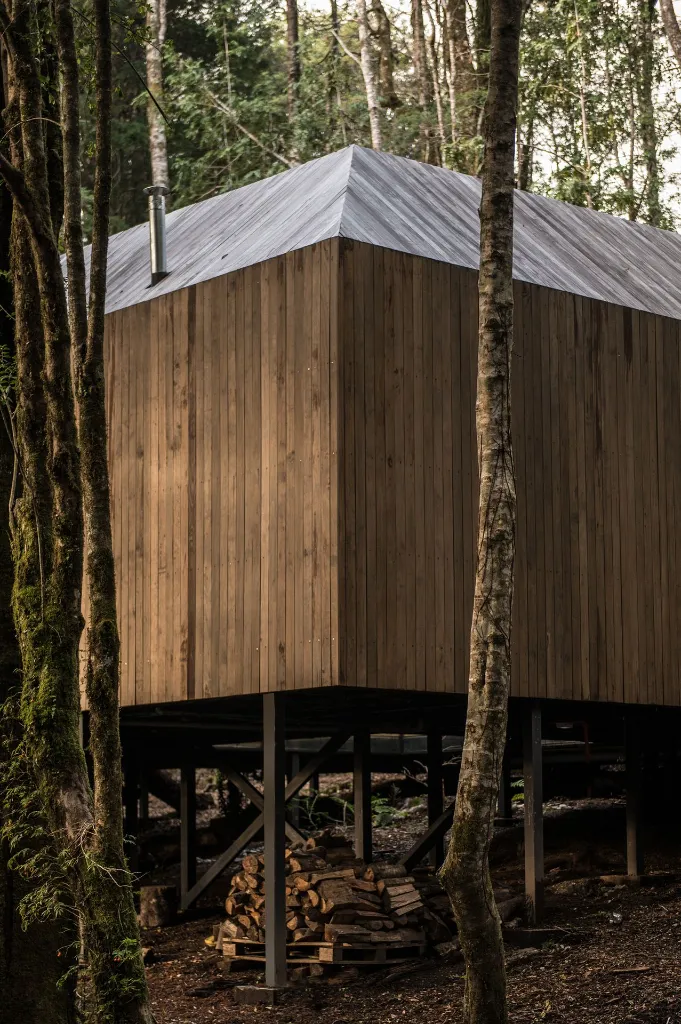 imp-138_pp.webp